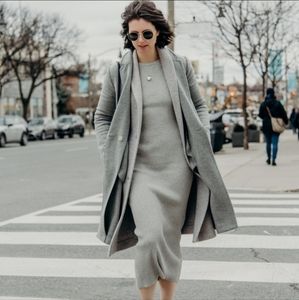 Aritzia Streep Dress The Group Babaton